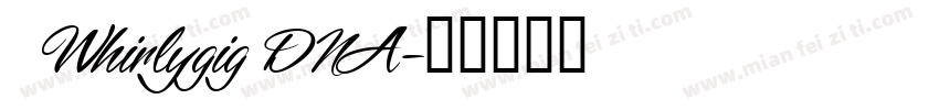 1 Whirlygig DNA字体转换